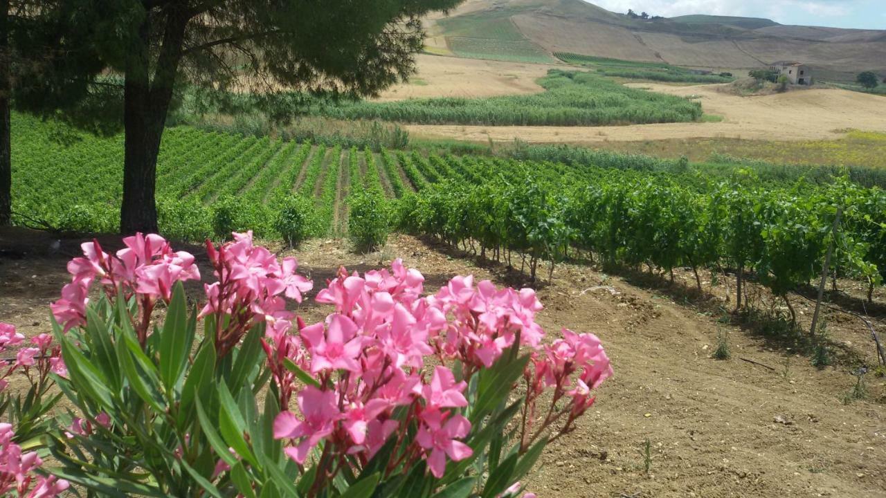 Terre Di Gratia Bed & Breakfast Camporeale Luaran gambar